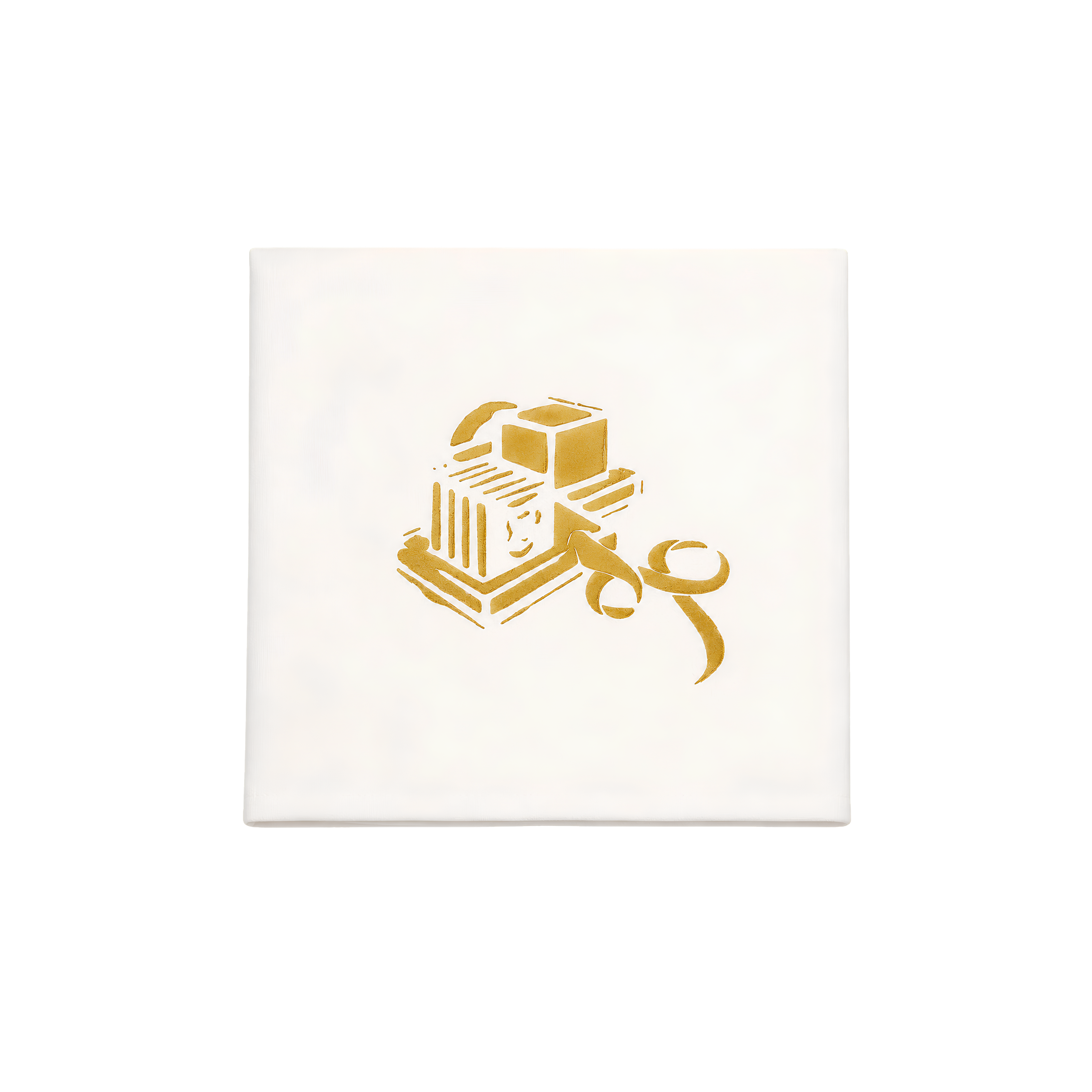 Custom Tefillin Bags