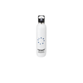 Stainless Steel Bottles