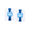 Custom Ribbon