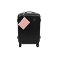 Mini Travel Luggage